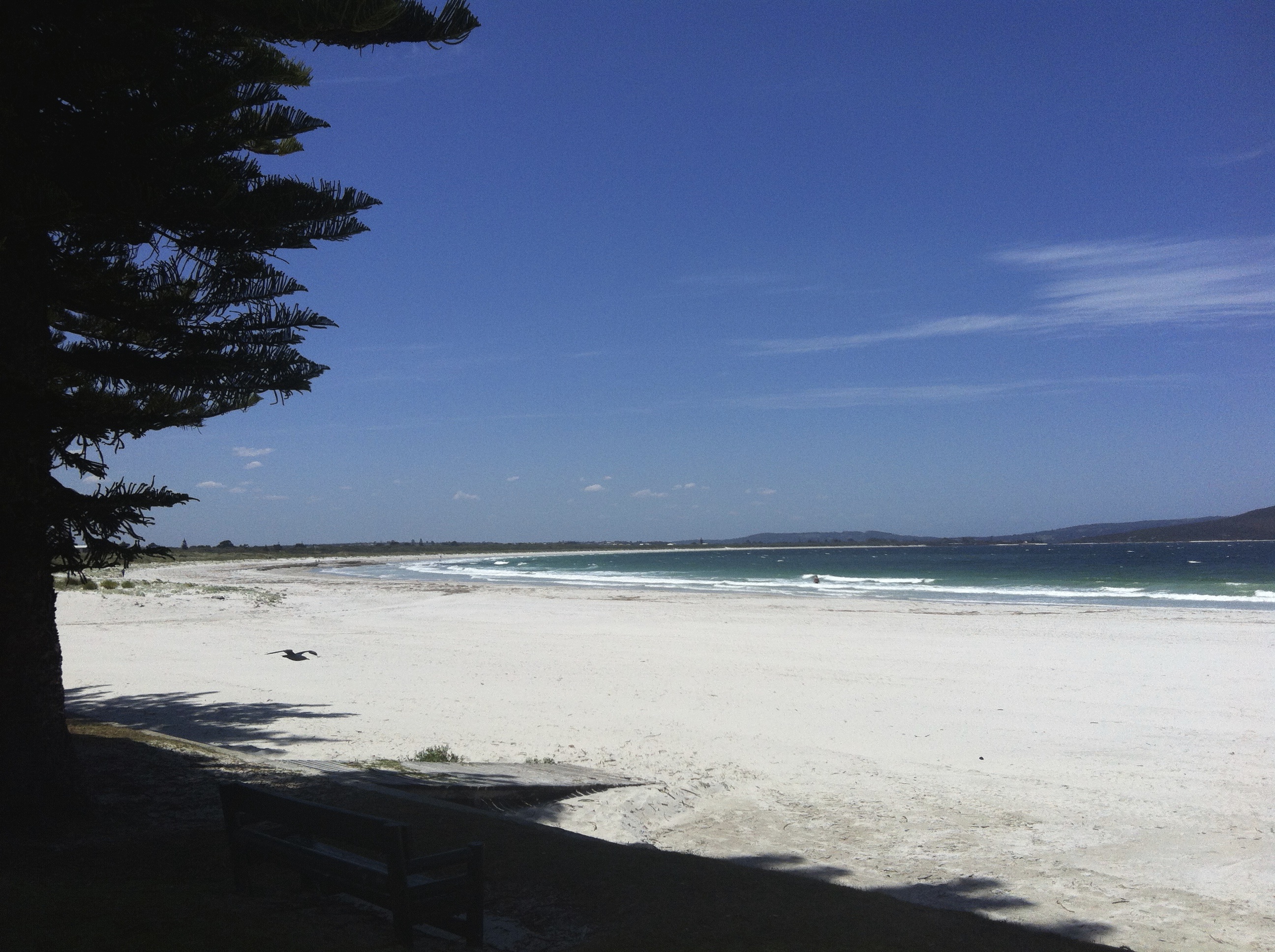 Albany, view of Middleton Beach